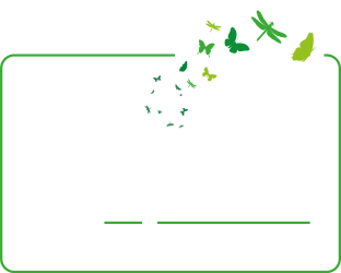 Foto mit dem Logo "q-blume, Leben pflanzen" - Schrift in weiß