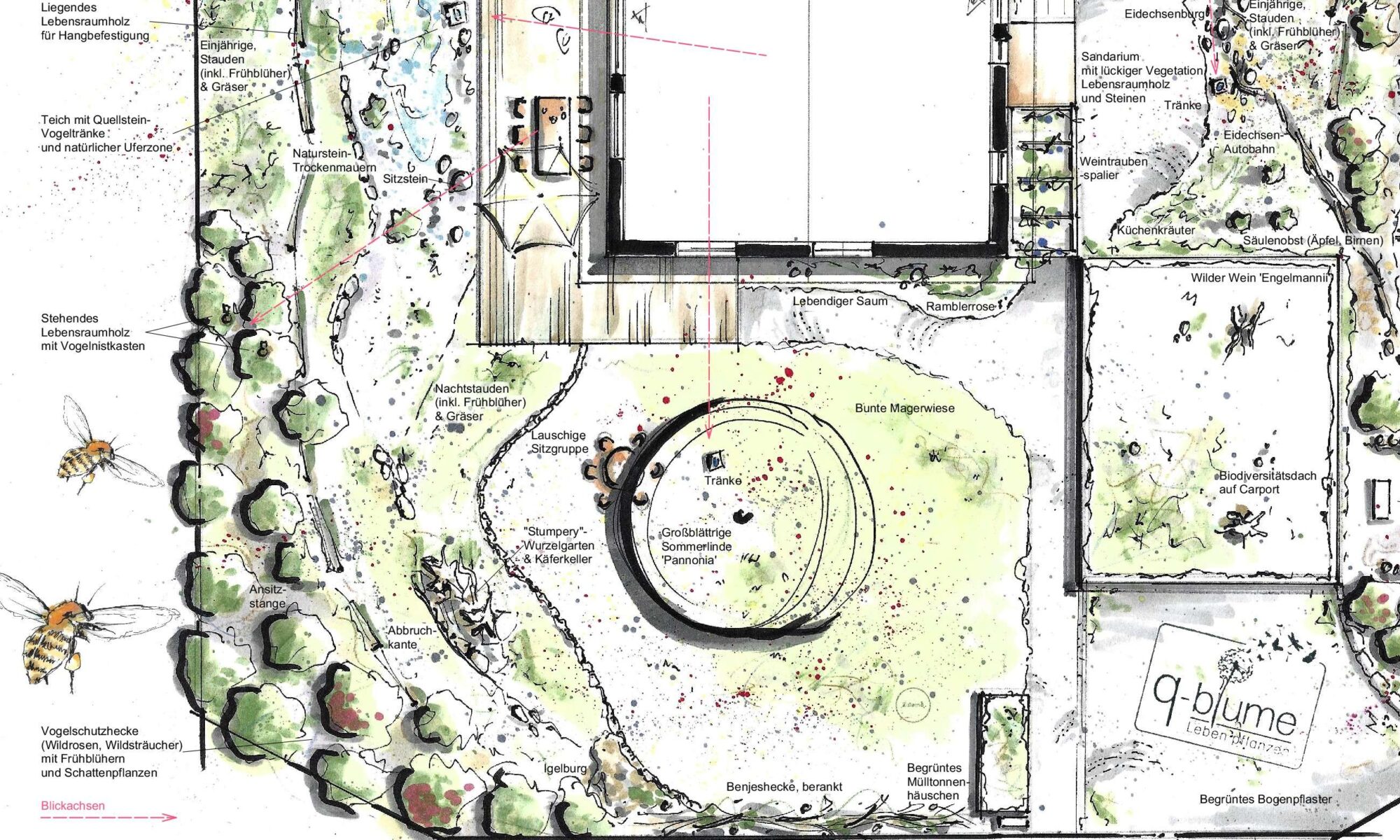 Foto von einem handgezeichneten Gartenplan im Grundriss dargestellt und gelayoutet